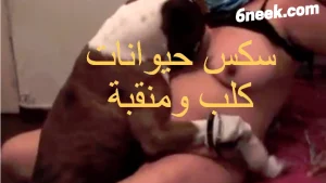 مشاهدة سكس حيوانات
