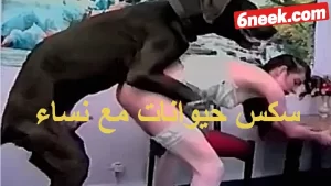 سكس حيوانات مع نساء سكس حيوانات مع نساء