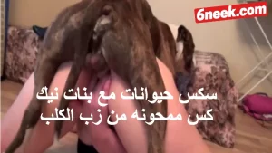 سكس حيوانات مع بنات